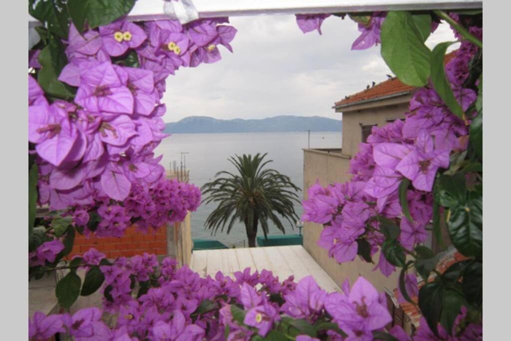 Apartman Graciela Perfect Location Gradac 格拉达茨 外观 照片